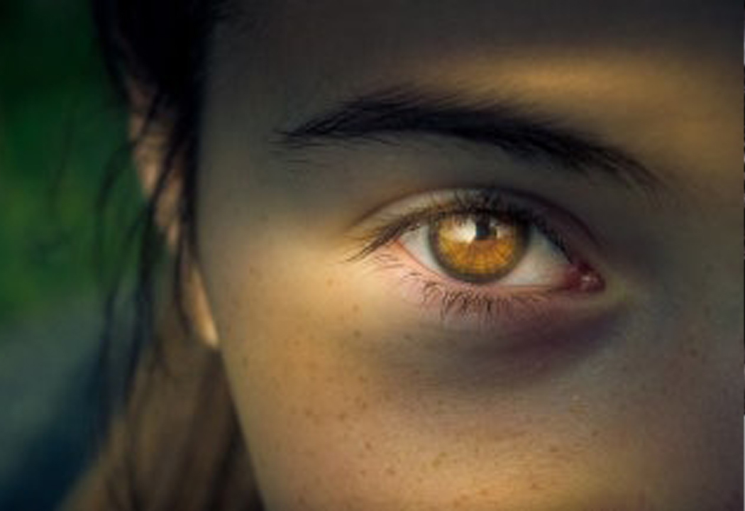 8f49f7488c715f57040a9bc148fc4547_1762160279_6665.jpg 8f49f7488c715f57040a9bc148fc4547_1762160279_6665.jpg